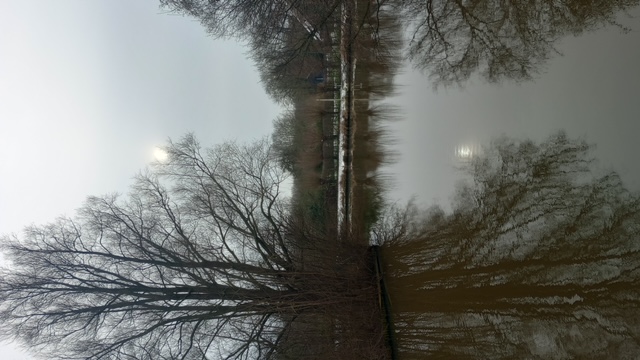 Zen.nl, Zen, meditatie, leren mediteren, foto